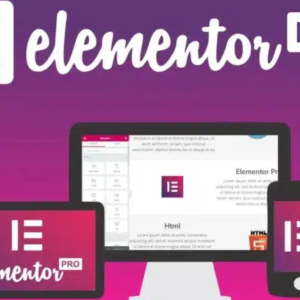 Elementor Pro – Plugin